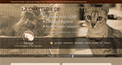 Desktop Screenshot of elevage-chat-norvegien-zorn.com